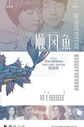 手机免费播放
