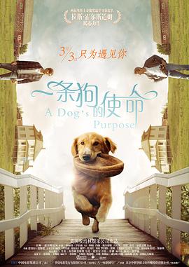 简繁英字幕