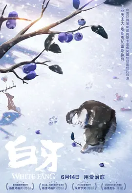 BD高清免费观看