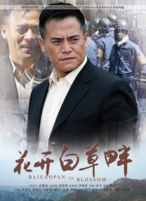 完结高清影视