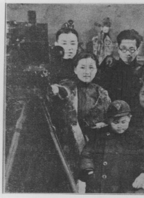 手机免费播放
